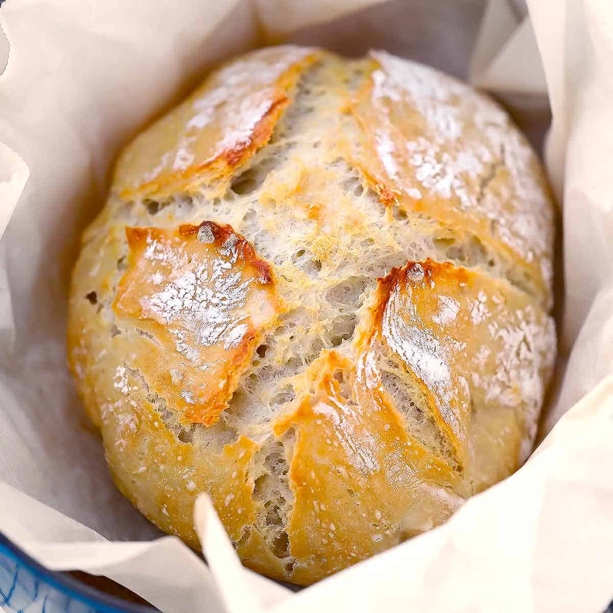 Perfect Crust, Tender Crumb: Easy No-Knead Dutch Oven Bread Recipe
